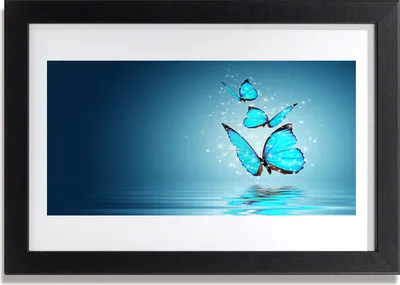 Produktbild von Bild 30x20 MDF-Rahmen Wandkunst Schmetterlinge Blue Water Kunst