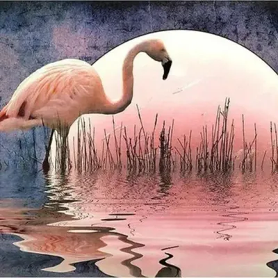 Productafbeelding van Schilderen op nummer: Flamingo, 40x50 cm