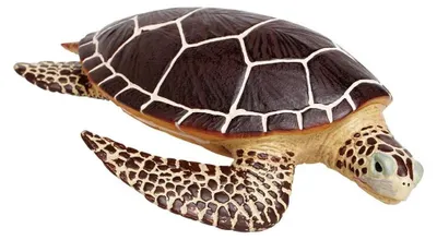Obrázok produktu pre Safari Ltd Sea Turtle Brown One Size