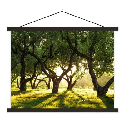 Produktbild von MuchoWow® Textilposter Bäume - Natur - Sonne 40x30 cm mit schwarzem Rahmen - Dekorationen