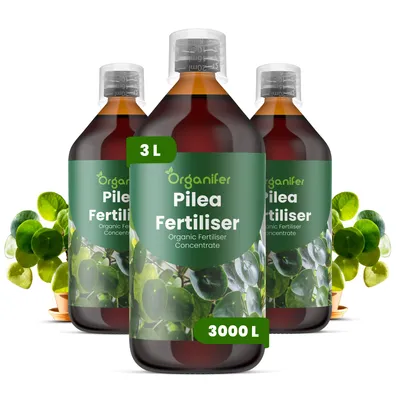Zdjęcie produktu dla Pilea Nawóz Płynny 3x1 L – 3-4-3 NPK – Do Pileu – Podporuje Kompaktowy Wzrost i Dekoratívnu Listovú Strukturę – Organifer