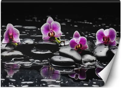 Produktbild von Vlies fototapete Zen-Steine Orchidee 150x105 cm Feeby Lila inkl. Kleber einfache Montage
