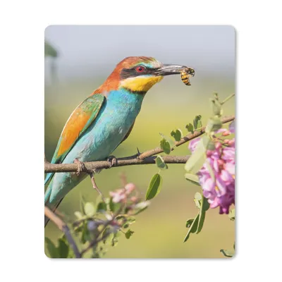 Produktbild von MuchoWow® Mauspad Mousepad Vogel - Bienenfresser - Blumen 30x40 cm - Mousepads - Maus Mat - Pad - Mausunterlage - Mausmatten