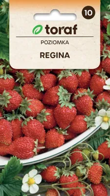 Obrázek produktu pro Velkoplodá jahoda REGINA semena 352 Toraf