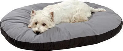 Produktbild von Karlie Liegekissen Doc Bed oval, grau-schwarz, Maße: 100 x 75 x 12 cm