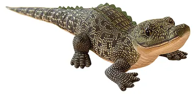 Plüschtier Krokodil 100 cm – realistisches Kuscheltier und Kissen