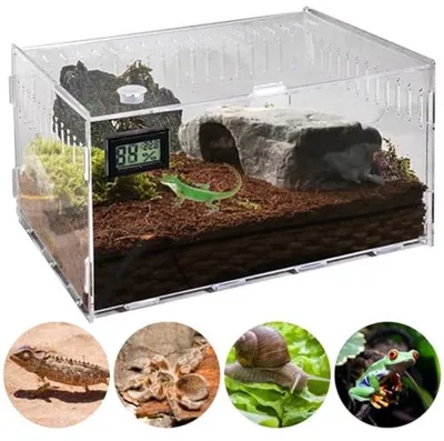 Acryl Terrarium Schnecken 40 x 25 x 20 cm, Reptilien Acryl Futterbehälter, Transparenter Reptilien Futterbehälter, Tragbare