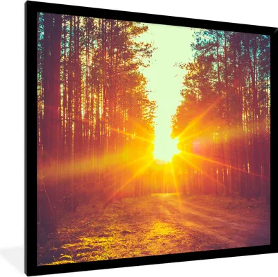 Produktbild von MuchoWow® Gerahmtes Poster Sonnenuntergang - Bäume - Wald - Natur 40x40 cm - Poster mit Schwarzem Bilderrahmen Wandposter Rahmen Foto Bilder - Mit Rahmen - Wanddekoration Schlafzimmer