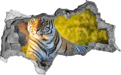 Produktbild von Selbstklebender Loch-3D-Aufkleber 95x73 cm Portrait eines Tiger