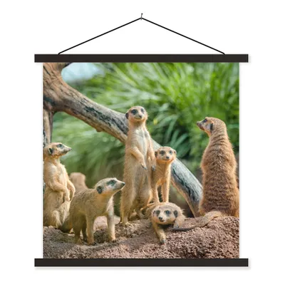 Produktbild von MuchoWow® Textilposter Erdmännchen - Familie - Tiere 60x60 cm mit schwarzem Rahmen - Posteraufhänger