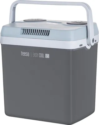Image de Teesa TSA5001.1 cool box Electric Grey