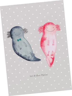 Produktbild von Mr. & Mrs. Panda Postkarte Axolotl Freundin - Grau Pastell - Geschenk, Valentinstag, Liebe, Ansichtskarte, Ansichtskarten, Jahrestag, Postkarten, Fotokarte, Grußkarte
