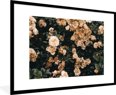 Produktbild von MuchoWow® Gerahmtes Poster Rosenstrauch - Blumen - Blätter 90x60 cm - Poster mit Schwarzem Bilderrahmen Wandposter Rahmen Foto Bilder - Wanddekoration - Fotos