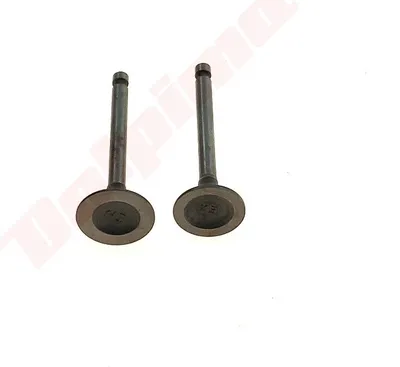 Image de Soupape Pour Yamaha Mz175 ( 7Cn-E2111-00 )