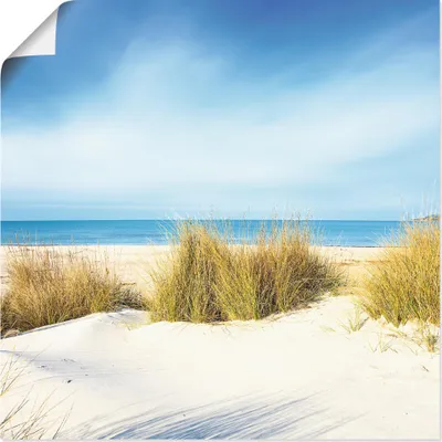 Produktbild von ARTland Poster Gras auf Sanddünen Größe: 30x30 cm
