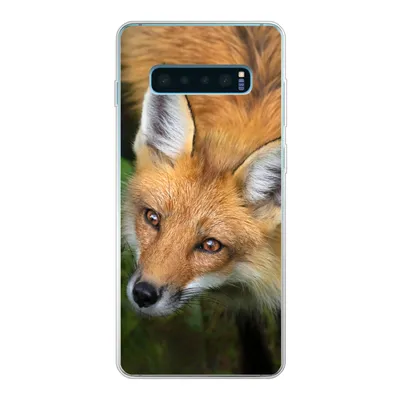Produktbild von MuchoWow® Handyhülle Schutzhülle Hülle für Samsung Galaxy S10 Plus Fuchs - Grün - Orange Silikon Softcase Handy Hülle - Schutzhülle