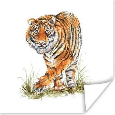 Produktbild von MuchoWow® Poster Tiger - Gras - Kopf 30x30 cm - Wandposter - Printing