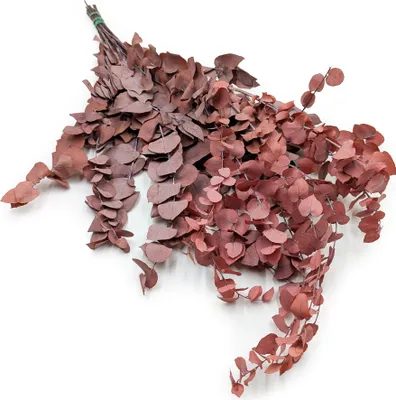 Produktbild von Stabilisiertes Eukalyptus - Stuartiana - Rot