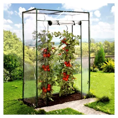 Produktbild von Tomaten-Gewächshaus mit PE-Abdeckung, 100 x 50 x 150 cm