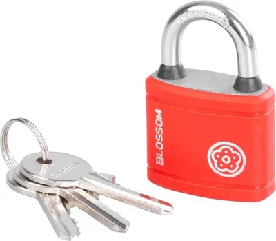 Produktbild von Schloss Blossom BX01, 30 mm, Vorhängeschloss