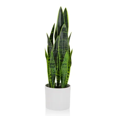 Produktbild von bümö plants Kunstpflanze Bogenhanf (sansevieria)