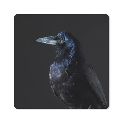 Produktbild von MuchoWow® Mauspad Mousepad Vogel - Tiere - Schwarz 20x20 cm - Mousepads - Maus Mat - Pad - Mausunterlage - Desk Mat - Bureauartikeln