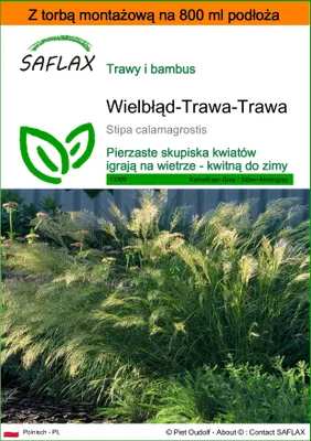 Zdjęcie produktu dla SAFLAX - Garden in the bag - Wielbłąd-Trawa-Trawa - 50 Nasiona - Z podłożem uprawowym w praktycznej, samorozkładającej się torbie - Stipa calamagrostis