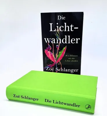 Obrázek produktu pro Die Lichtwandler