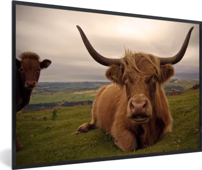 Produktbild von MuchoWow® MuchoWow® Gerahmtes Poster Schottisches Hochlandrind - Tiere - Berg 60x40 cm - Poster mit zchwarzem Bilderrahmen - Printing - Wanddeko Schlafzimmer