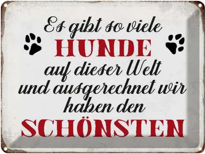 Produktbild von vianmo Blechschild 30x40 cm es gibt so viele Hunde Hund