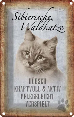 Produktbild von vianmo Blechschild 18x12 cm sibierische Waldkatze Katze Tier Haustier