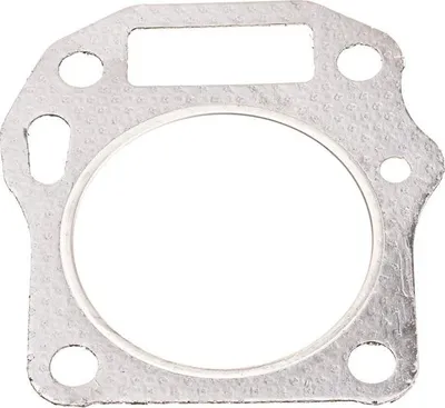 Zdjęcie produktu dla Uszczelka głowicy Cedrus Y139V 480366