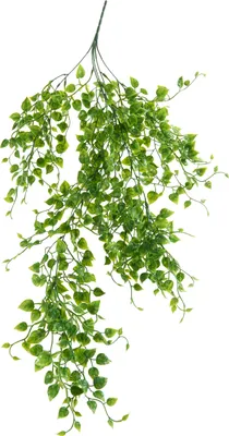 Produktbild von VBS Hänger "Blätter", L ca. 80 cm