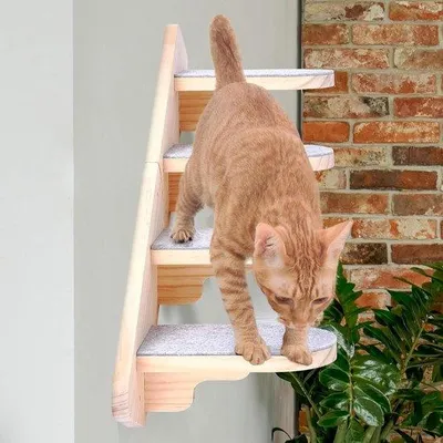 Produktbild von Famanu Katzenklimmauer Holz - Raumspartendes Kletterwandset für Katzen - Wandmontage - Einfach zu montieren - 37 cm x 8 cm x 13 cm