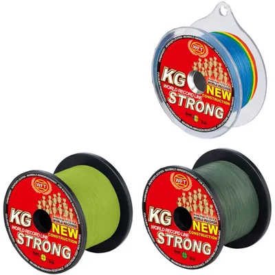 Produktbild von WFT KG STRONG Schnur 600m 0,25mm 39kg, Farbe:multicolor