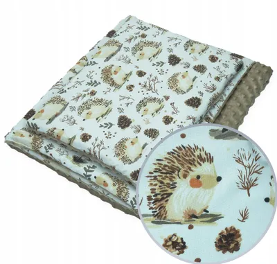 Produktbild von Kerstin Babydecke und Kissen Set Minky 75x100 cm