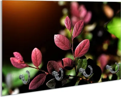 Produktbild von Wallario Schlüsselbrett aus Glas, Motiv: Rote und grüne Blätter an einem Zweig, 30 x 20 cm mit 4 Haken