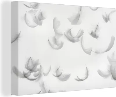 Zdjęcie produktu dla OneMillionCanvasses® - Obraz na płótnie - 140x90 cm, Małe pióra jako tło, Dekoracja ścienna - Zdjęcie na płótnie - Obraz na drewnianej ramie