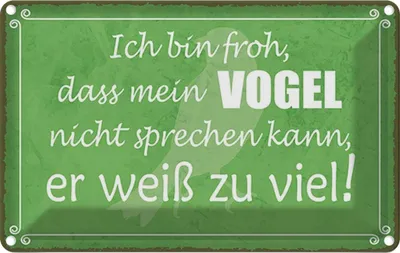 Produktbild von vianmo Blechschild 12x18 cm froh mein Vogel nicht sprechen Spruch Zitat
