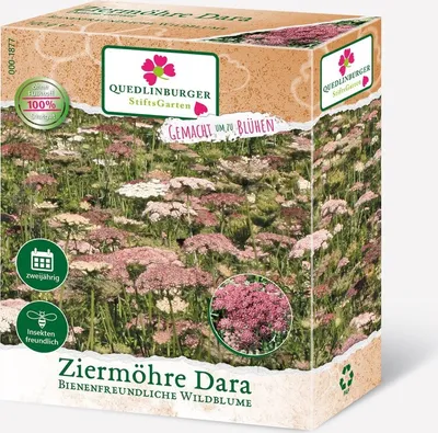 Produktbild von Ziermöhre Dara (Daucus carota) FS
