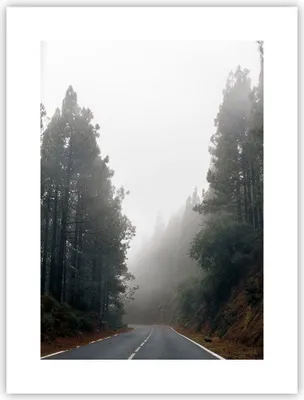 Produktbild von Poster - Poster ohne Rahmen - Weg Nebel Straße - 30x40 cm - Wand Bild - Wanddeko - Wandbilder - Kunstposter - Wandposter - Bilder - Kunstdruck - Wanddekoration - Wandbild - P2XPA30x40-5168
