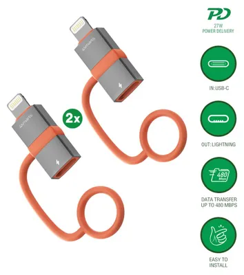 Immagine prodotto di 4Smarts Adattatore da USB-C a Lightning