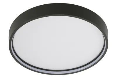 Produktbild von LED-Deckenleuchte - Dunkelgrau - Ø 45 cm - Aluminium - Acryl - dimmbar