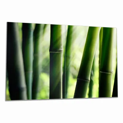 Produktbild von Wallario Herdabdeckplatte aus Glas, Größe 80 x 52 cm 2-teilig, Motiv Bambuswald und Sonnenstrahlen