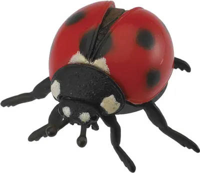 Produktbild von Collecta Marienkäferfigur Rot 3-6 Years Rot 3-6 Years