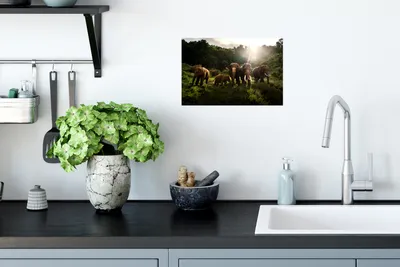 Produktbild von MuchoWow® - Wierderverwendbar - Selbstklebend
