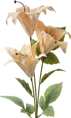 Produktbild von Clayre & Eef Kunstblume 72 cm Beige Kunststoff