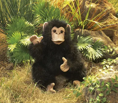 Produktbild von Folkmanis 2877, Handpuppe, Tier, 1 Stück(e)