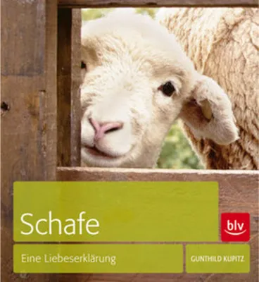 Produktbild von Schafe