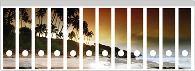 Produktbild von Wallario Ordnerrücken Sticker, selbstklebend für breite Ordner, 12 Stück, Motiv Sri Lanka - Palmenstrand mit Sonnenuntergang
